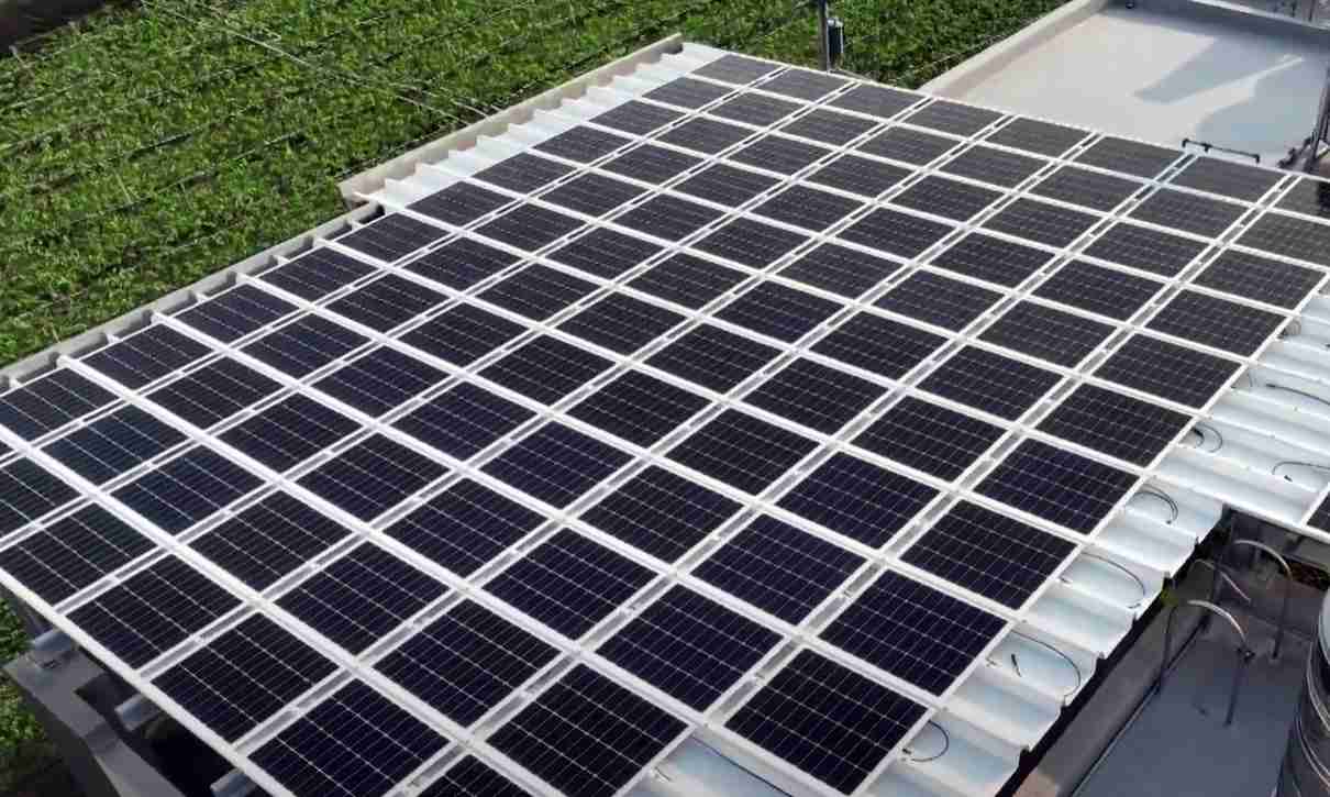 PG国际SunSteel光电浪板升级双玻结构，，以提升机械负载强度及气候耐候度，，，可广泛运用于多元场域